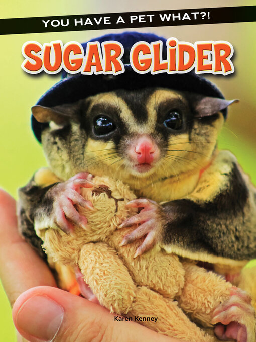 Title details for Sugar Glider by Karen Kenney - Available